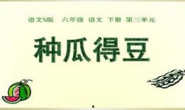瓜瓜吃瓜ppt 今日吃瓜热门大瓜必看大瓜网红,今日热门大瓜，网红必看盘点